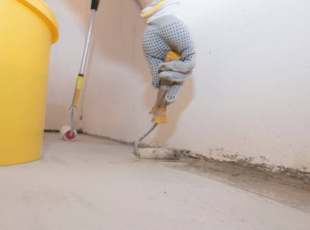 Best Termite Inspection and Treatment  in Broussard, LA